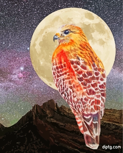 Hawk Bir Moonlight Painting By Numbers Kits.jpg