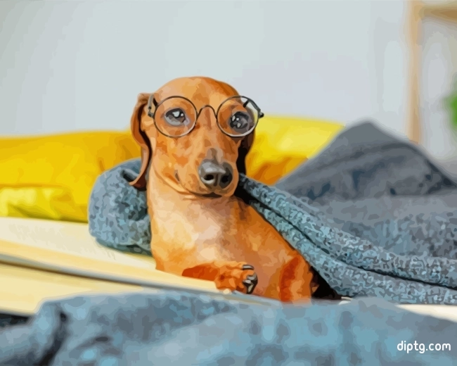 Dachshund With Glasses Painting By Numbers Kits.jpg