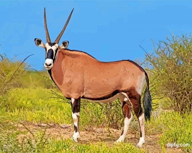 Oryx Desert Animal Painting By Numbers Kits.jpg