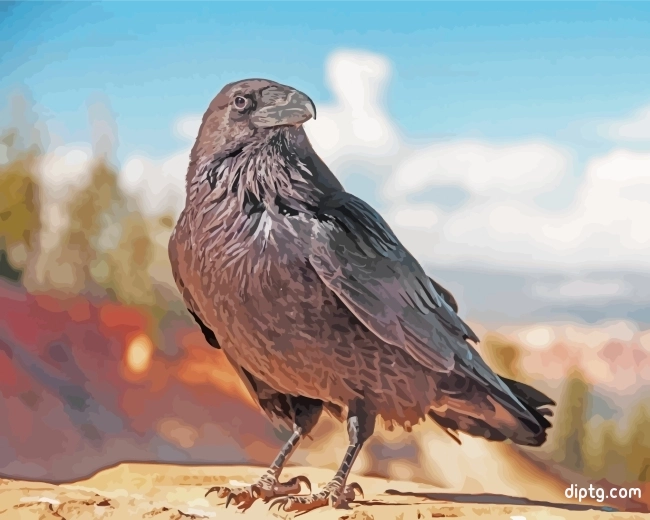 Raven Bird Animal Painting By Numbers Kits.jpg