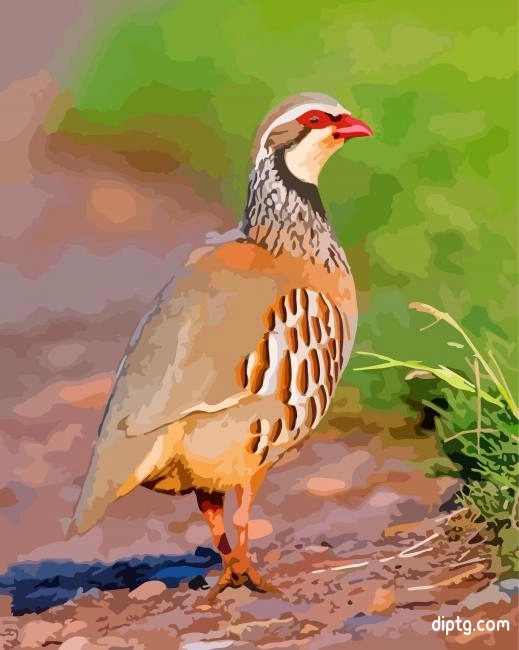 Lonely Partridge Bird Painting By Numbers Kits.jpg