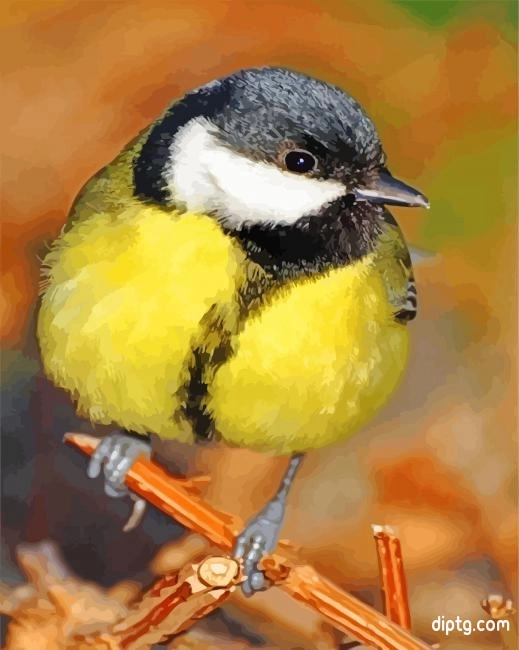 Parus Major Bird Painting By Numbers Kits.jpg