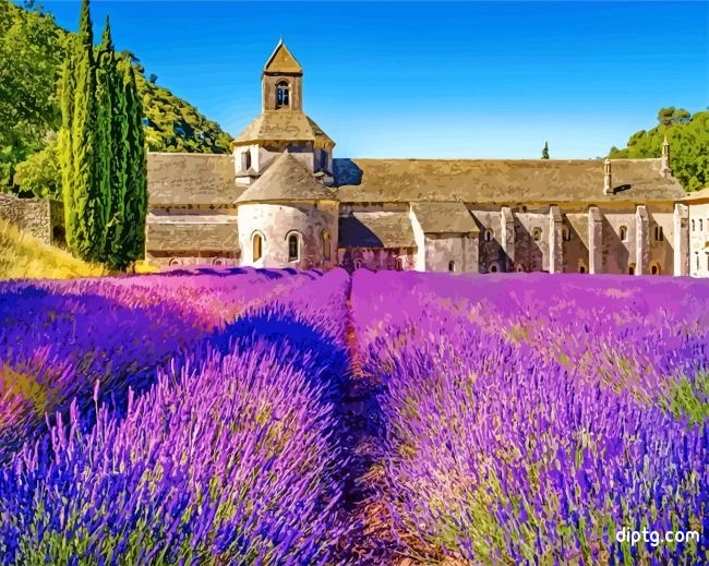 Lavender Field Provence Painting By Numbers Kits.jpg