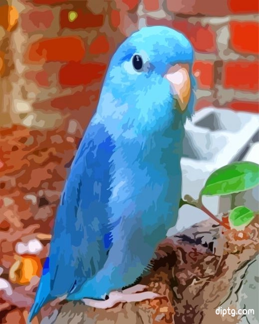 Blue Parrotlet Painting By Numbers Kits.jpg