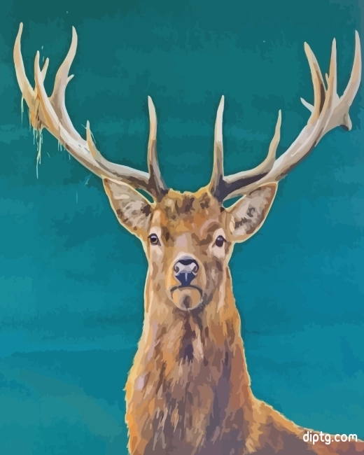 Stag Deer Animal Painting By Numbers Kits.jpg