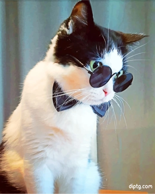 Cat With Black Sunglasses Painting By Numbers Kits.jpg