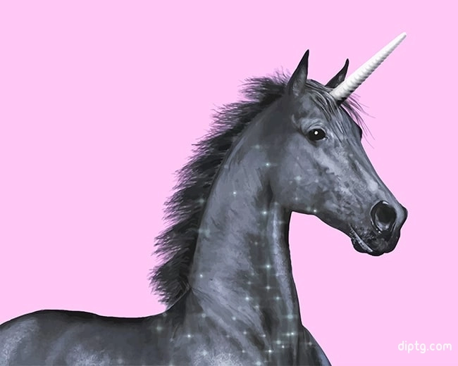 Black Unicorn Painting By Numbers Kits.jpg