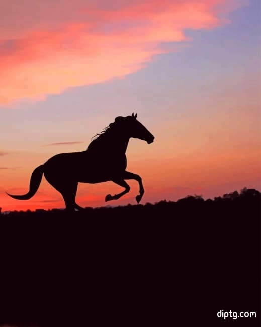 Horse Silhouette Sunset Painting By Numbers Kits.jpg