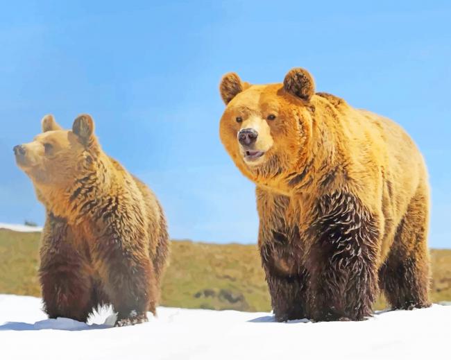 Bears In Snow Painting By Numbers Kits.jpg